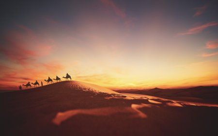 The Central Asian Crossroads: Why the Silk Visa Deadlock Signals a "Trade Over Tourism" Regional Strategy