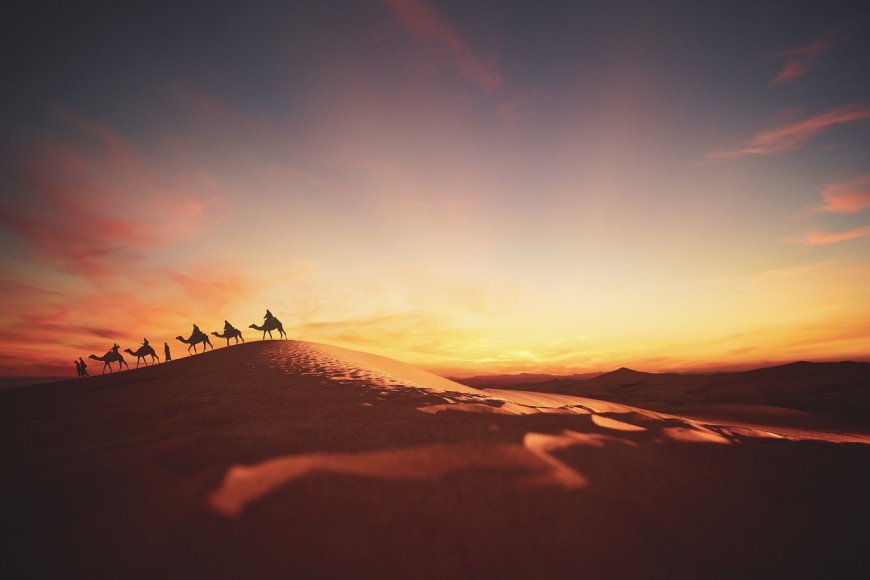 The Central Asian Crossroads: Why the Silk Visa Deadlock Signals a "Trade Over Tourism" Regional Strategy