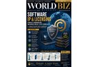 Understanding Software Licensing and Intellectual Property Rights