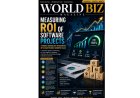 The True Value of Software Investments: ROI Insights