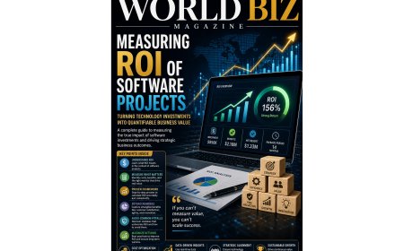 The True Value of Software Investments: ROI Insights