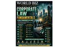 The Global Corporate Law Framework: How Modern Companies Are Governed